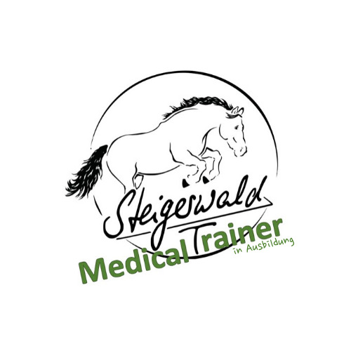 ausbildung medical trainer