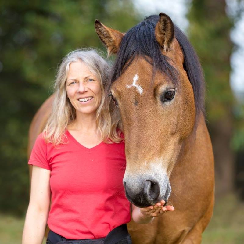 nin steigerwald profil