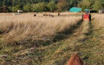Sommer in Südfrankreich