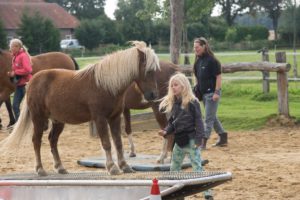 Horse Agility mit Pferdewippe