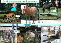 Meine erste Pferdewippe…