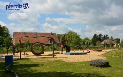 Horse-Agility Training auf Hof Steigerwald