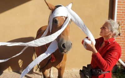 Klopapier-Challenge trifft Medical Training