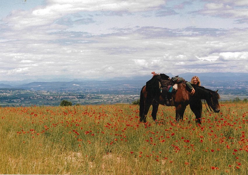 mohnfeld packpferd unterwegs