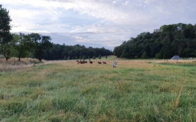 Der Weg und das Ankommen in Frankreich