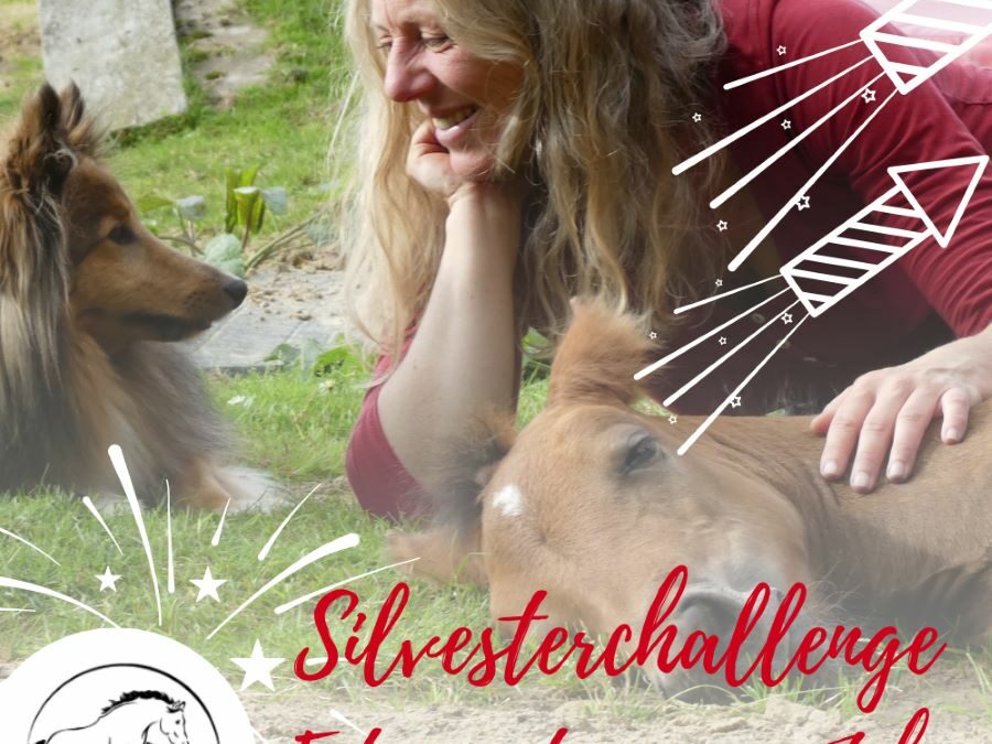 Steigerwald.T Silvesterchallenge: Impulse und deren Kontrolle