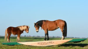 Wipp dich glücklich