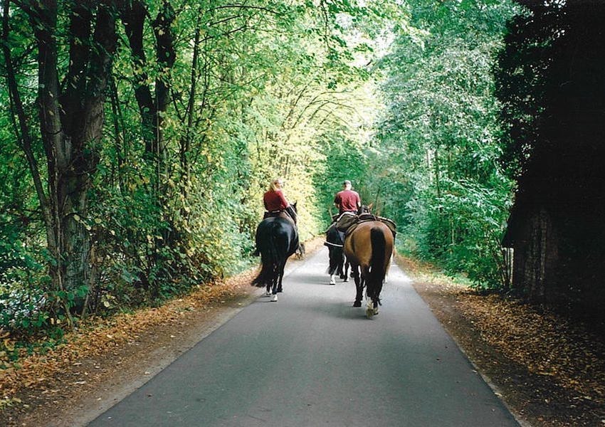 verkehrssicher wanderreiten packpferd 1