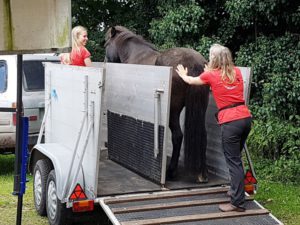 Anhängertraining à la Steigerwald