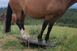 bauanleitung-drehteller