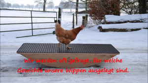 Pferdewippen-Belastungstest