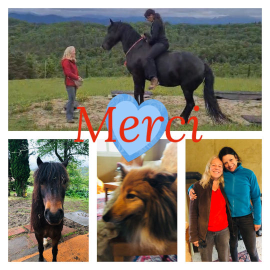 bildungsurlaub-danke-5 Collage zum Bildungsurlaub als dankeschön