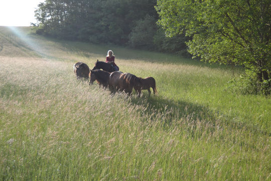 bildungsurlaub-individuell-1 bildungsurlaub-individuell
