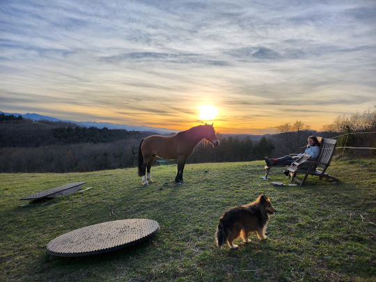 bildungsurlaub-pferd