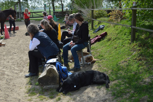 clickertraining seminar 1 1