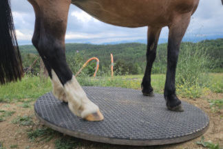 drehteller-bauanleitung