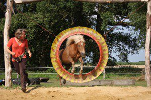 Willkommen bei Nina Steigerwald