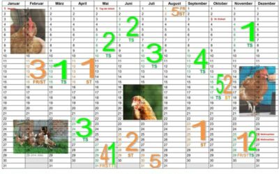 Trainerkalender 2015
