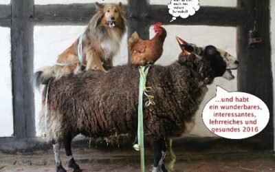 Die besten Wünsche für 2016 !!!