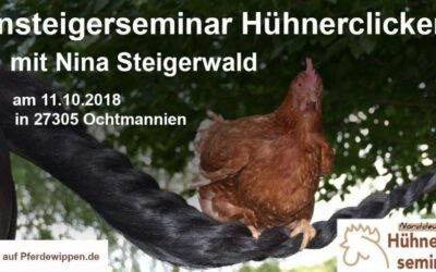 Ein spontanes Einsteigerseminar Hühnerclickern!