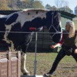 Medical Training- Kooperationssignal