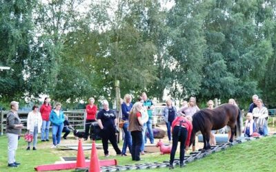 Horse Agility Turnier 2017