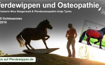Pferdewippen unter osteopathischen Gesichtspunkten