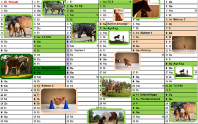 Die Termine 2019 sind online!