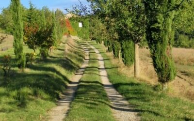 Steigerwald.Traum: Unser neues Zuhause in Frankreich