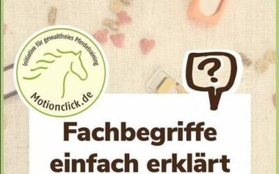 Das Motionclick Trainer Netzwerk