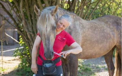 Kooperation beim Medical Training