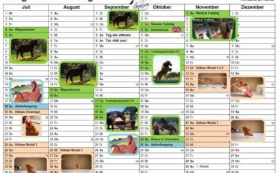 Pferdewippen-Trainer und andere Termine 2020