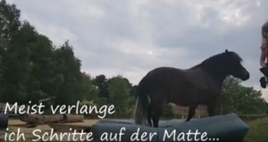 Heute ist Horse-Agility-Tag