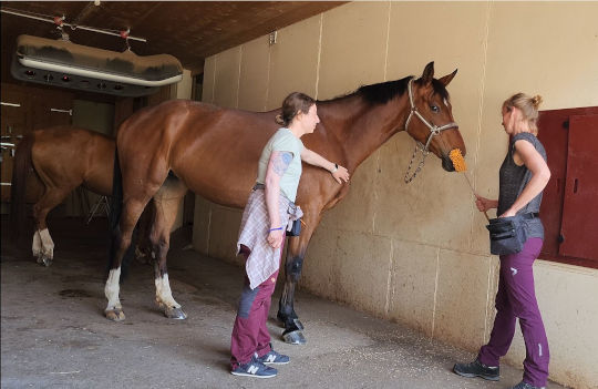 medical sommercamp 1