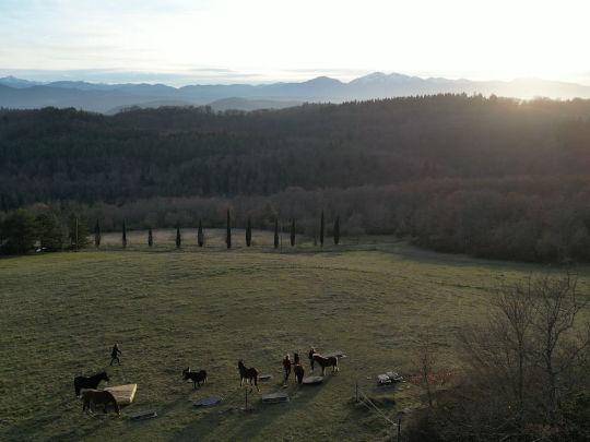 menschen pferde berge 5 1