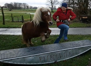 Bewegte Neujahrsgrüße!