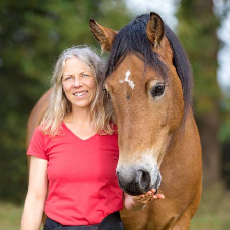 nin steigerwald profil 450