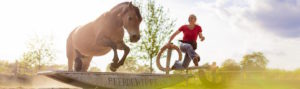 Horse Agility: Kleine Parcours-Runde