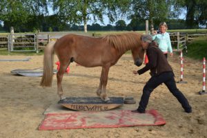 Heris Genesung durch Pferdewippen-Training