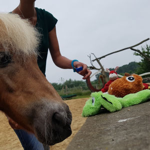 stofftier diskriminierung 1