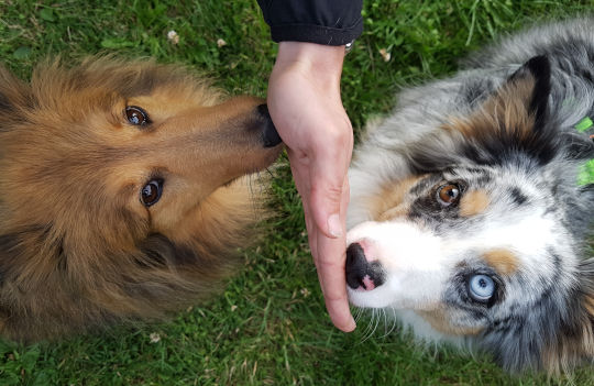 techniktraining brandenburg 5