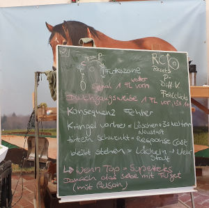 trainingsplan seminar 1