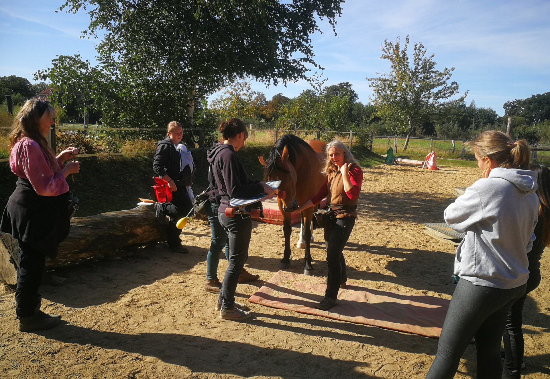 Trainingsspezialist Pferde Gruppe