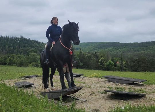 traumwoche-wippentraining