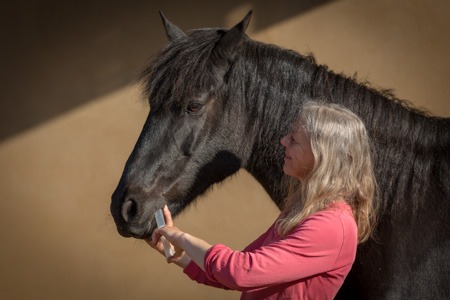 Ein Pferd bekommt eine Wurmkur
